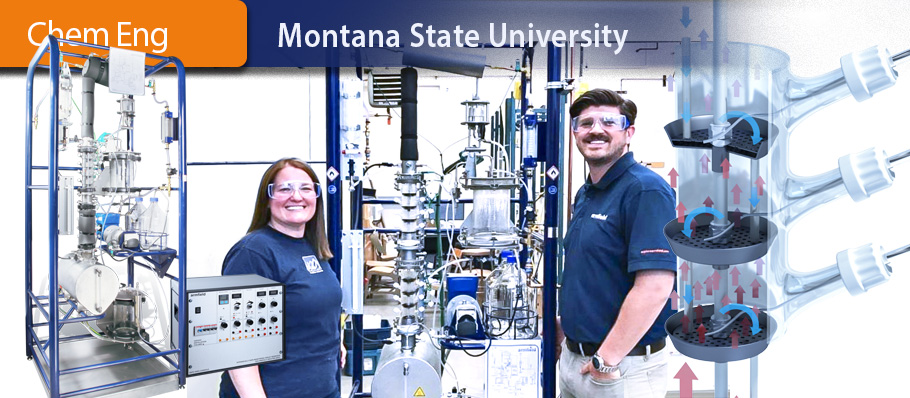 Montana State University