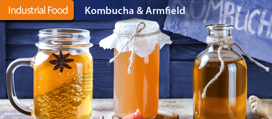 Kombucha and Armfield